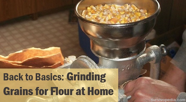 Back To Basics: Grinding Grains For Flour At Home | Survivopedia