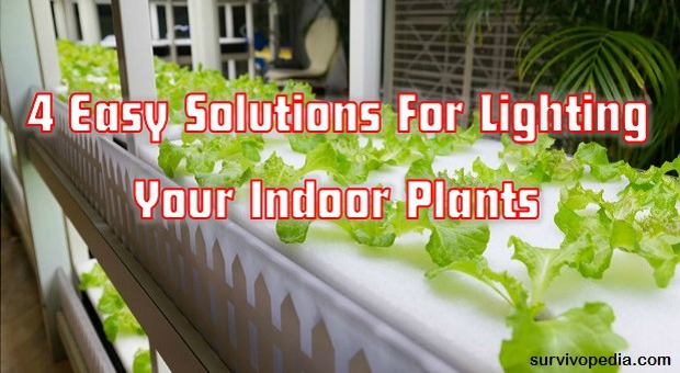survivopedia-4-easy-solutions-for-lighting-your-indoor-plants