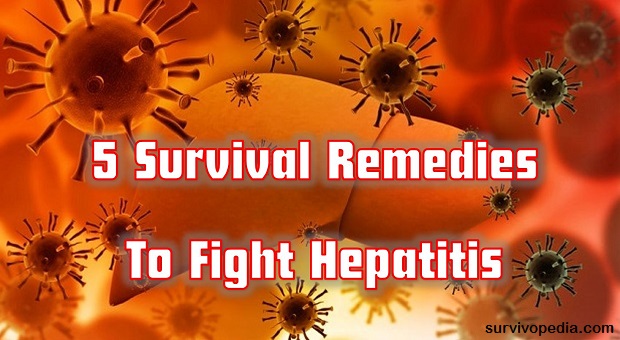 Survivopedia hepatitis